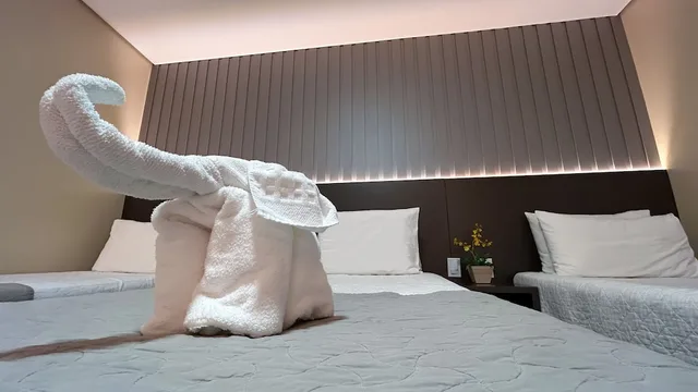 غرفة سوبيريور ثلاثية بسريرين منفصلين وثلاثة أسرّة، Pietro Angelo Hotel 8/9