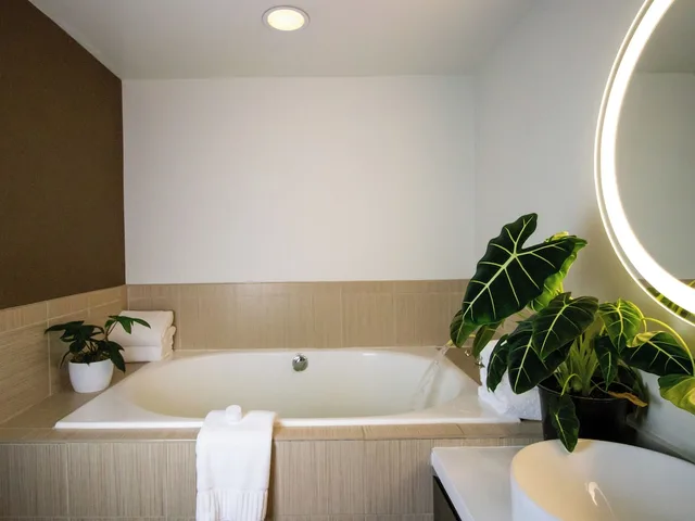 جناح فاخر بسرير كينج، Kimpton Hotel Vintage Portland 5/5