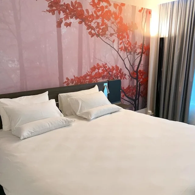 غرفة سوبيريور بسرير مزدوج، Novotel Leicester 3/8