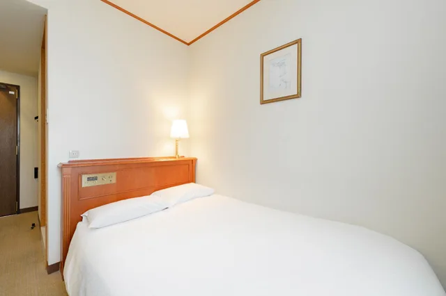 Semi Room, Single, Semi Double Bed, Smoking، Plaza Hotel Premier 1/1