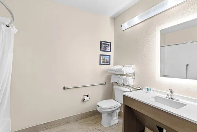 جناح بسرير كينج مع أريكة لذوي الإعاقة، Comfort Suites Daphne - Mobile East Bay 10/10