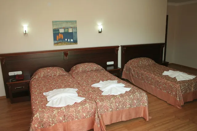 غرفة قياسية، Alkan Hotel 2/3