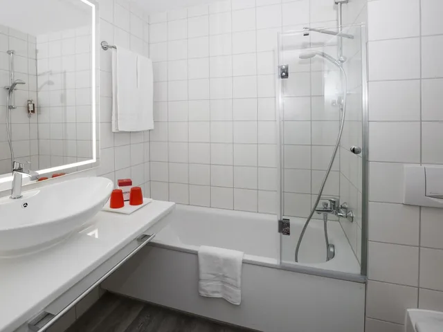 غرفة قياسية بسرير مزدوج، Dormero Hotel Zurich Airport 4/4