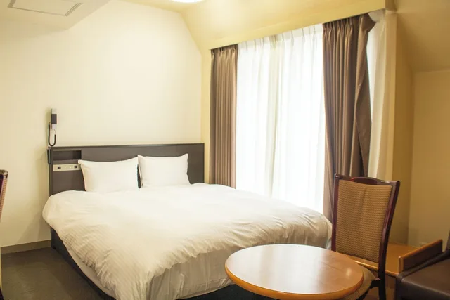 غرفة سوبيريور بسرير كوين، HOTEL CONTINENTAL 4/6