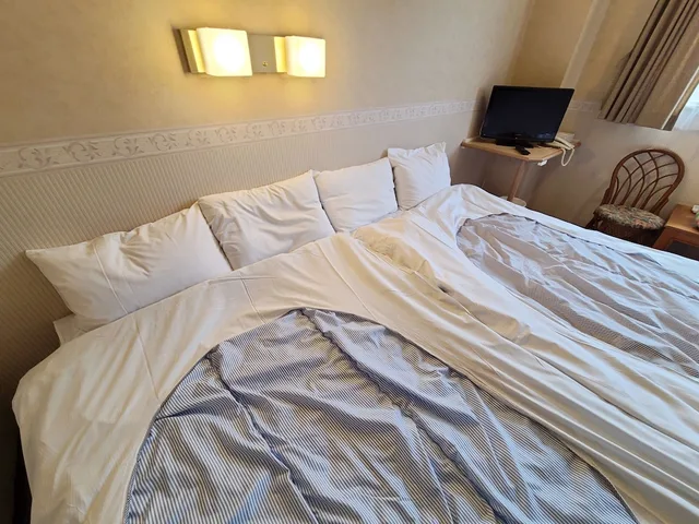 غرفة بسريرين منفصلين بإطلالة على الجبل، Shirakabako Hotel Paipu No Kemuri 1/3