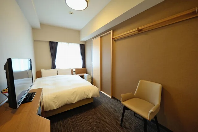 Economy, Single, Dormy Inn Akihabara 2/8