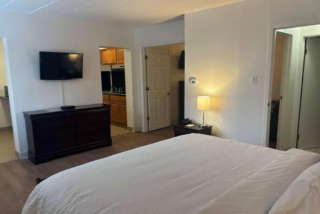 جناح بسرير كينج بغرفة نوم واحدة، Tesla BioHealing Wellness Hotel & Resort, Ramada by Wyndham 1/3