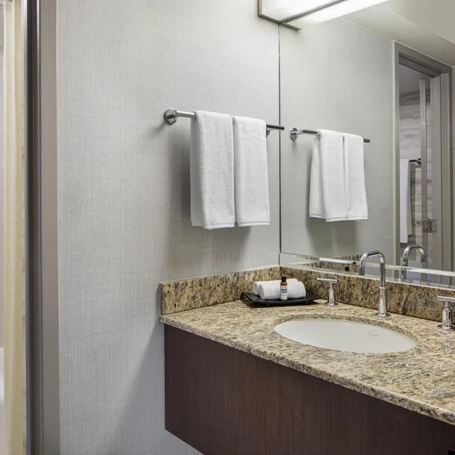 Room, King Bed, Allergy Friendly، Hyatt Regency DFW International Airport 3/7