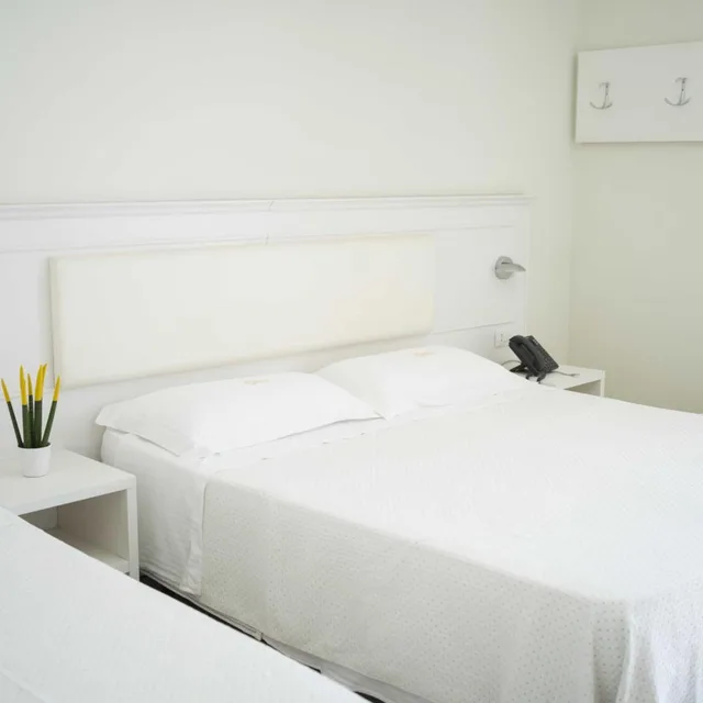 غرفة قياسية بسرير مزدوج، Hotel Sole 1/1