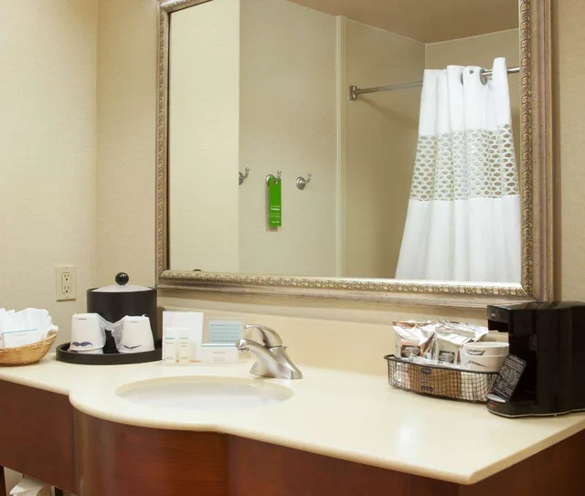 جناح بسرير كينج، Hampton Inn And Suites Brownsville 2/2