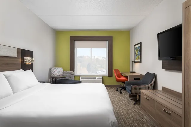 غرفة قياسية بسرير كينج، Holiday Inn Express Hotel And Suites Chattanooga At Lookout Mtn Tn 1/10