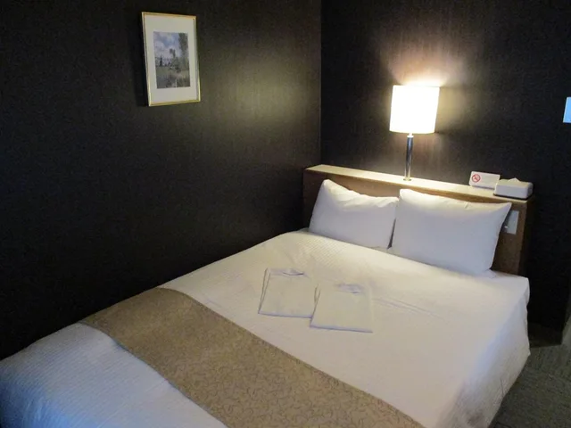 غرفة قياسية مفردة بسرير مزدوج للمدخنين، Niigata Keihin Hotel 1/1