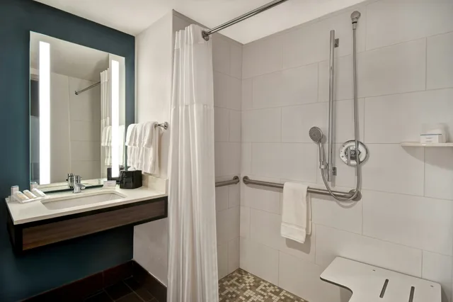 غرفة بسرير كينج لذوي الإعاقة، Hilton Garden Inn Houston/Galleria Area 3/3