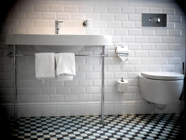 غرفة سوبيريور بسرير كينج، Arthotel Blaue Gans 4/7
