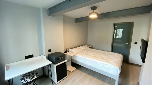 غرفة قياسية بسرير مزدوج، Eresin Hotels Express 1/2