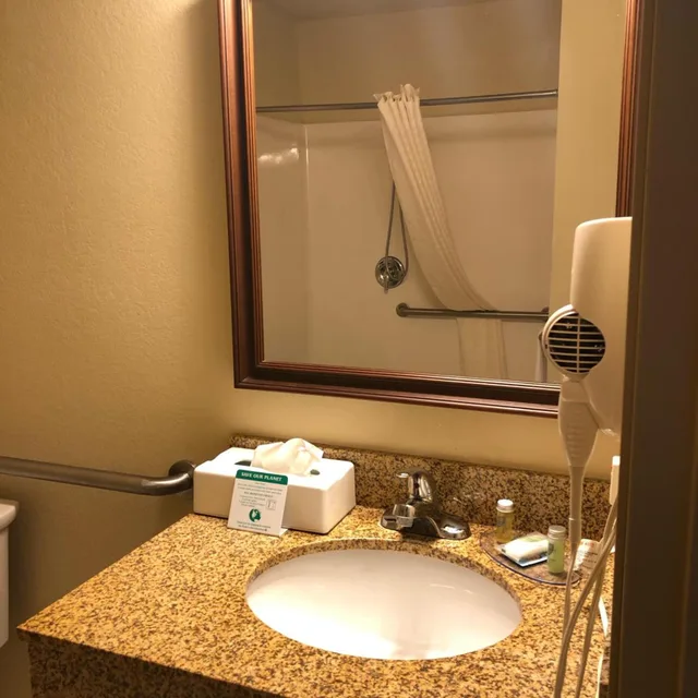 Room, Queen Bed, Accessible, Cobblestone Inn & Suites Durand 8/9