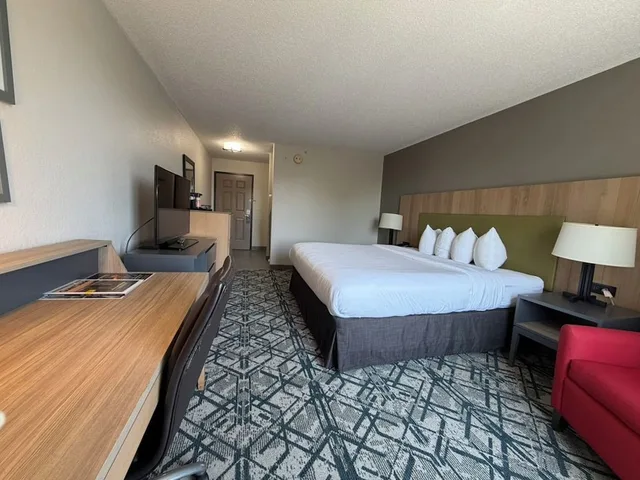 غرفة بسرير كينج لذوي الإعاقة، Country Inn & Suites by Radisson, Novi, MI 2/8