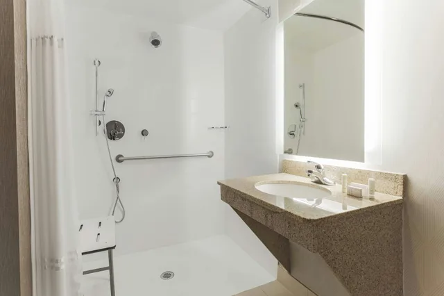 Room, Springhill Suites Austin North Parmer Lane 4/4