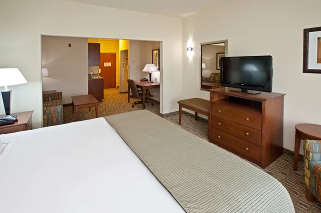 جناح بسرير كينج لذوي الإعاقة، Holiday Inn Express Hotel & Suites Ripley 4/4