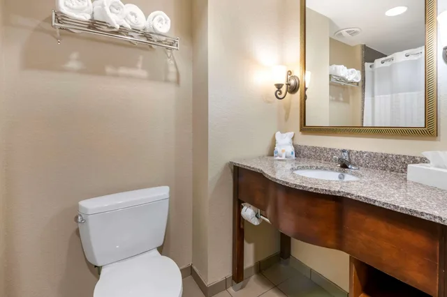 1 Bedroom, Suite, 2 Queen Beds, Sofa, Accessible, Comfort Suites Ocala - North 7/10