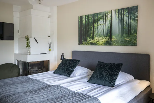 غرفة قياسية بسرير مزدوج أو سريرين منفصلين، Treetop Spa Hangout & Hotel 10/10