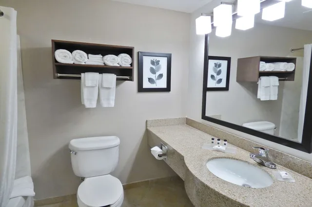 جناح بريميوم بسرير كينج بغرفة نوم واحدة لذوي الإعاقة، Country Inn and Suites by Radisson Tampa/Brandon FL 2/3
