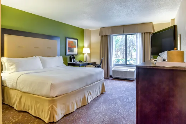 جناح بغرفة نوم واحدة، Holiday Inn Indianapolis North Carmel 1/3