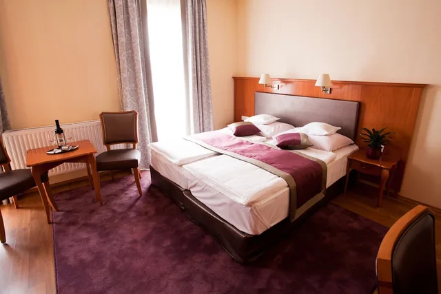 غرفة سوبيريور بسريرين منفصلين، Pannonia Hotel 2/6
