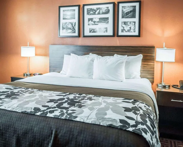 Suite, King Bed, Sleep Inn O'Fallon near I-64 3/3