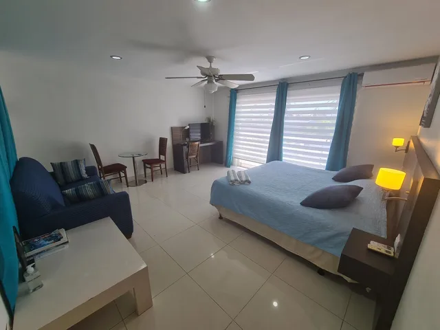 استوديو ديلوكس بسرير كينج مع أريكة، Bubali Villa And Apartments 5/10