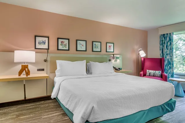 1 King Bed Deluxe with Sofabed, Hilton Garden Inn Atlanta Ne Gwinnett 3/7