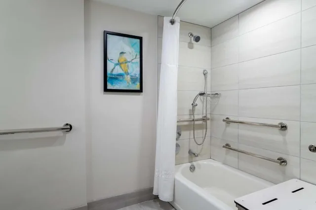 غرفة بسرير كينج بغرفة نوم واحدة مع أريكة لذوي الإعاقة، Embassy Suites By Hilton Tampa Usf Near Busch Gardens 5/6