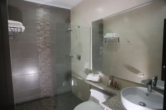 غرفة ديلوكس بسريرين مزدوجين، ARANJUEZ HOTEL & SUITES 4/6