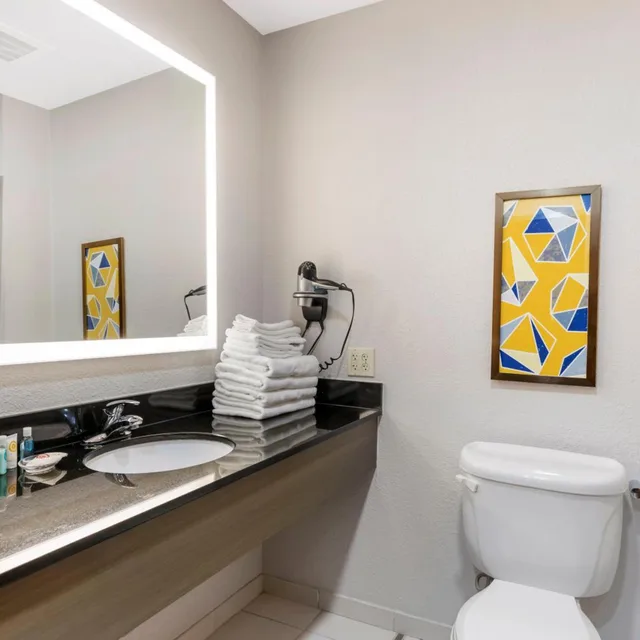غرفة بسرير كينج بحوض استحمام لذوي الإعاقة، Comfort Inn & Suites Watervliet 7/7