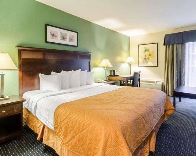 Room, King Bed, Rodeway Inn Suites Williamsburg Central 1/1