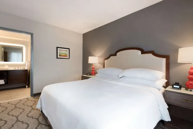 استوديو بسرير كينج مع أريكة، Embassy Suites By Hilton Chicago-Naperville 1/2