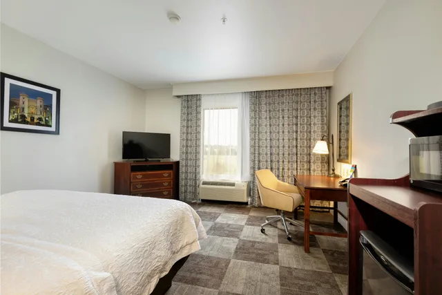 غرفة بسرير كينج لذوي الإعاقة، Hampton Inn and Suites Baton Rouge I 10 East 1/3