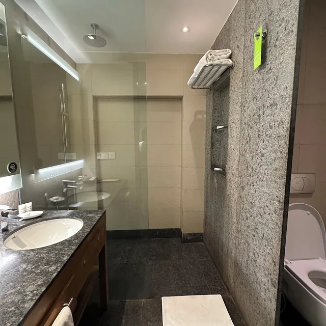 غرفة كبيرة بسرير كينج مع أريكة، HYATT PLACE HAMPI 4/6