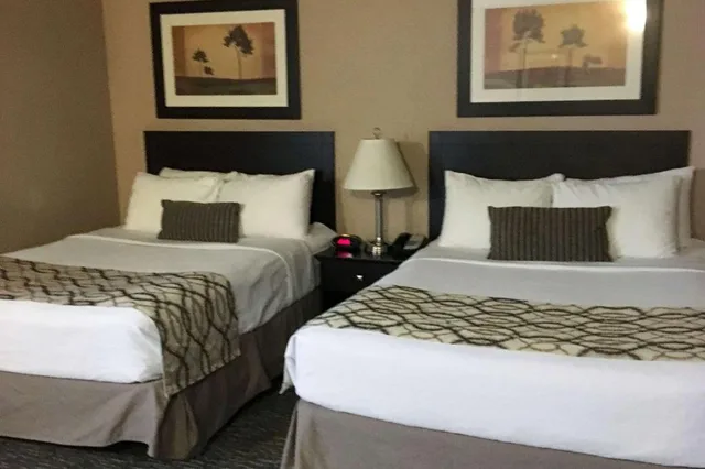 غرفة بسريرين كوين يُسمح فيها بالحيوانات الأليفة، Radisson Hotel & Conference Centre West Edmonton, AB 2/7