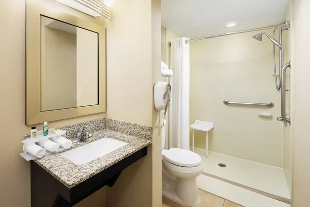 غرفة قياسية بسرير كينج لذوي الإعاقة، Holiday Inn Express & Suites Alpharetta - Windward Parkway 4/4