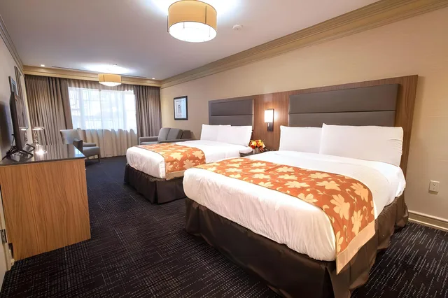 جناح استوديو، Opera House Hotel 1/1