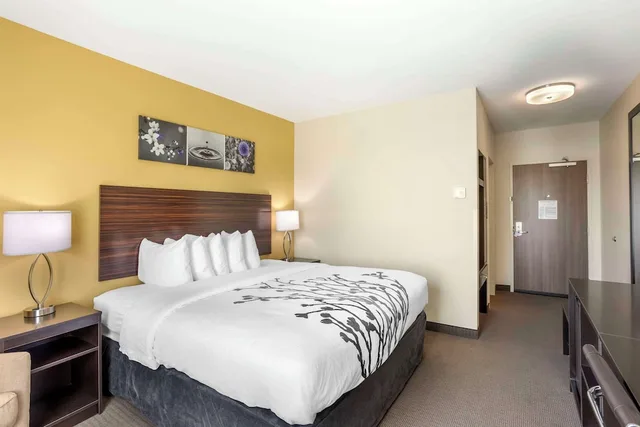 غرفة قياسية بسرير كينج، Sleep Inn North - Central York 1/2