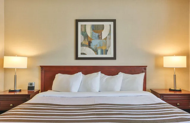 Suite, King Bed, Sofa, Grand Wing، Best Western Brantford Hotel Conference Centre 2/3