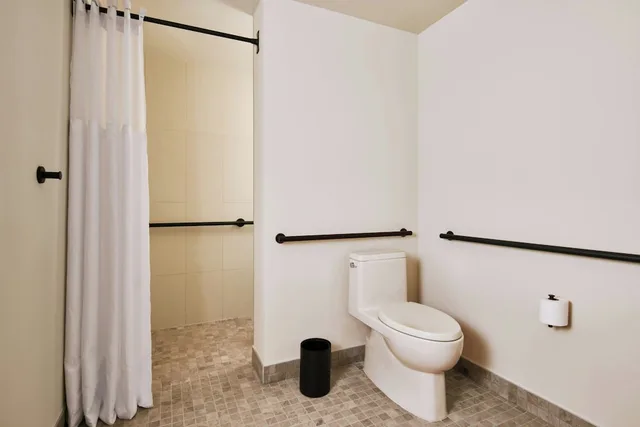 غرفة قياسية بسرير كينج، AC Hotel Downtown Los Angeles 5/5