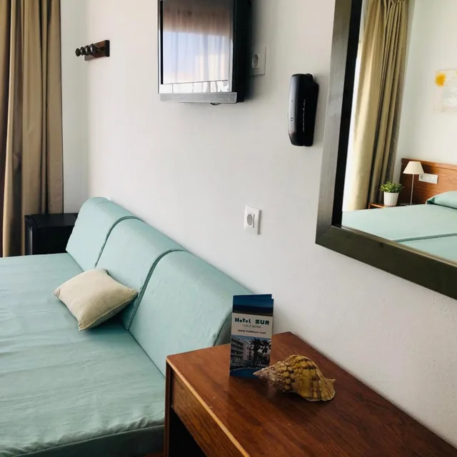غرفة سوبيريور بسرير فردي بإطلالة على البحر، Hotel Sur 4/8