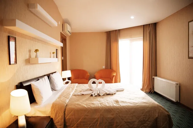 غرفة ديلوكس بسرير كينج، Austin Hotel Baku 1/3