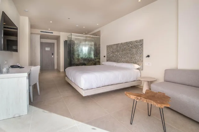 غرفة بسرير مزدوج، Hotel Cadiz Bahia 1/1