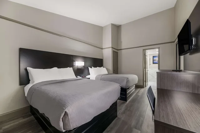Room, 2 Double Beds, Accessible, Quality Inn & Suites Altamonte Springs Orlando-North 1/6
