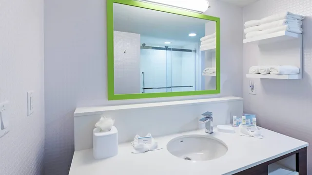 استوديو بسرير كينج، Hampton Inn and Suites Houston-Bush Intercontinental Airport 3/3