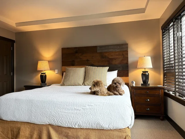 Loft, Suite, 1 King and 2 Queen Beds, Slope View, Sofa, Pet Friendly, Corduroy Inn and Lodge, Trademark Collection by Wyndham 1/5